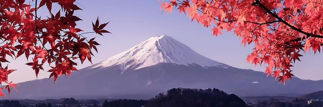 CockCroissant's profile banner image