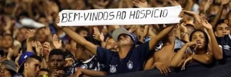 🅰️manda 🦁 banner