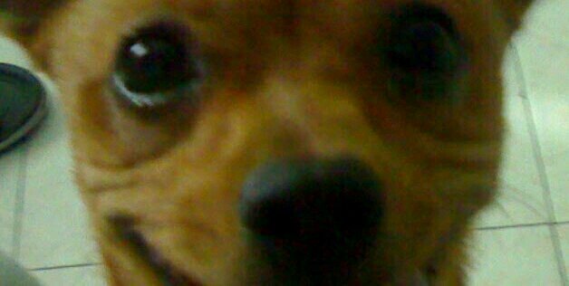 Enzo87xD's profile banner image