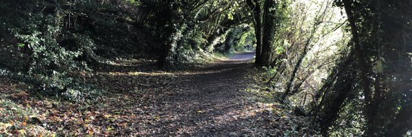 mdavidallen Profile Banner