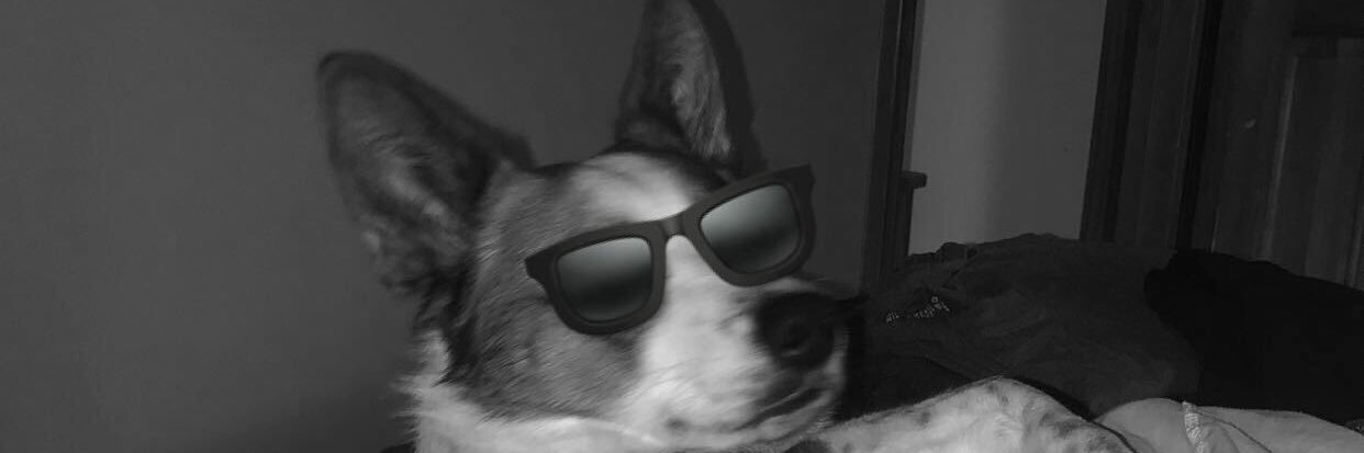JarettPayne2's profile banner image
