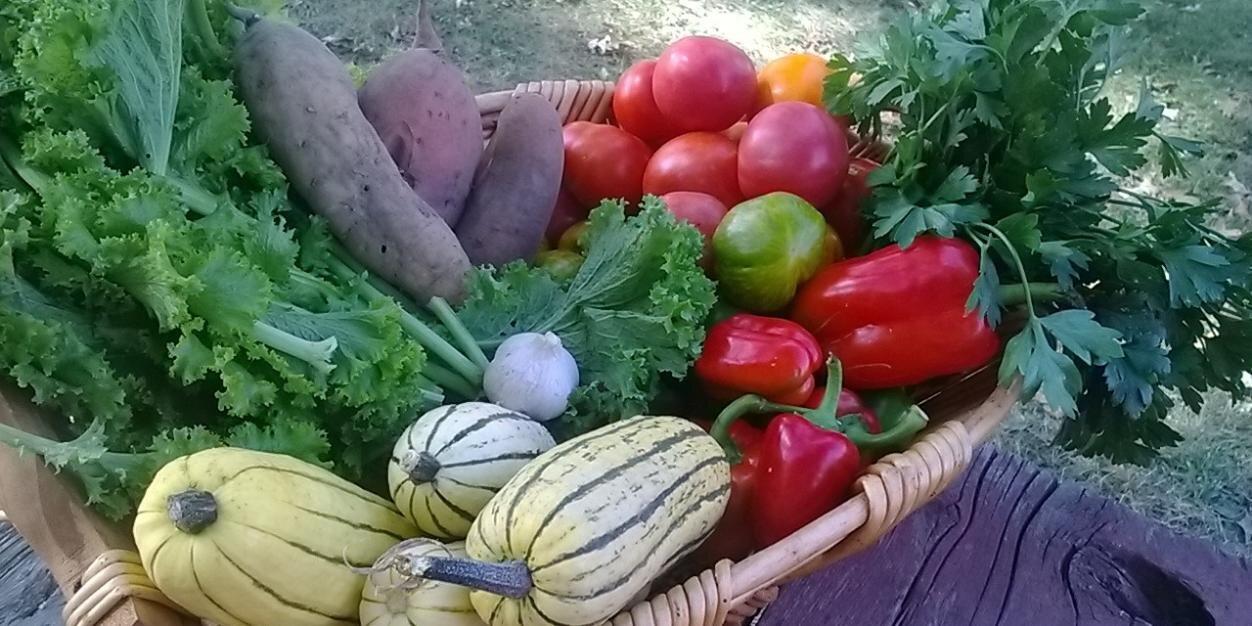 Seeds of Hope Farm banner