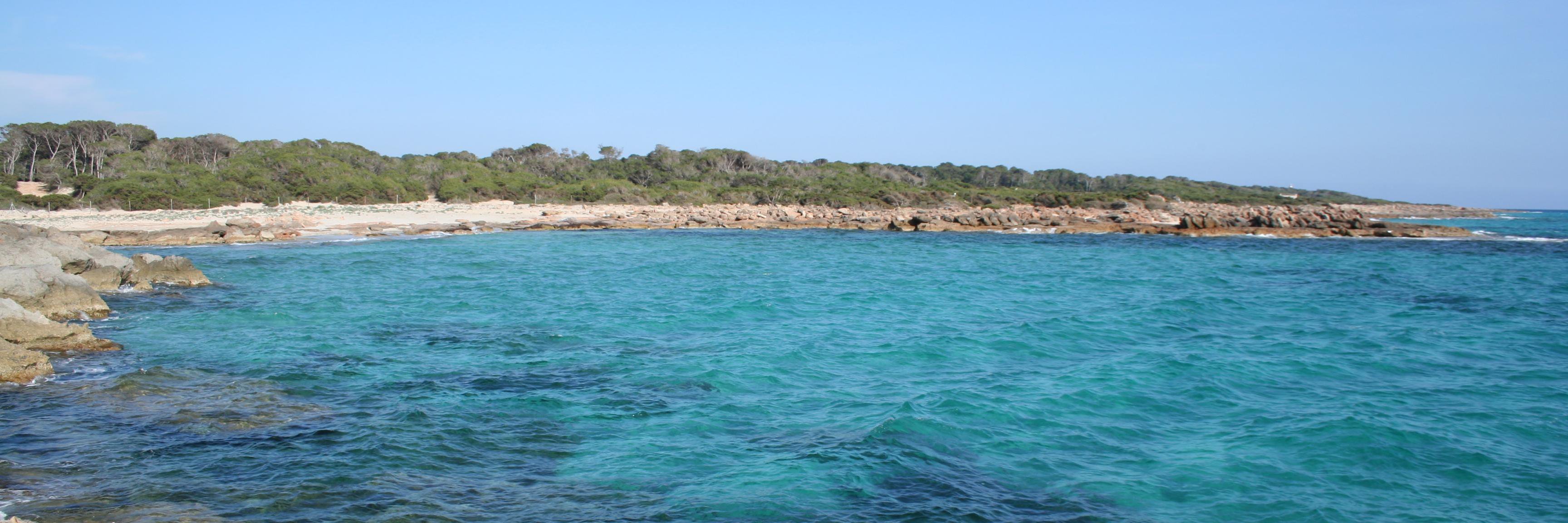 MarBalear's profile banner image