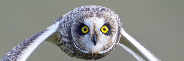 paul_pwelsh97 Profile Banner