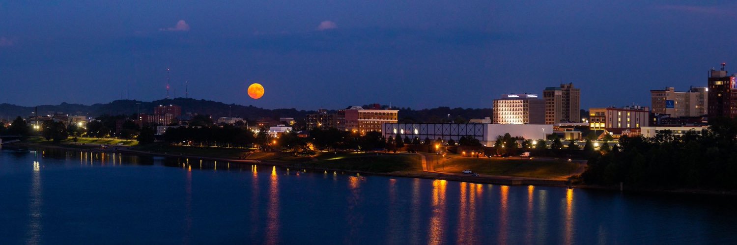 Steve Williams banner