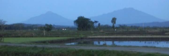 Didik Setiyawan banner