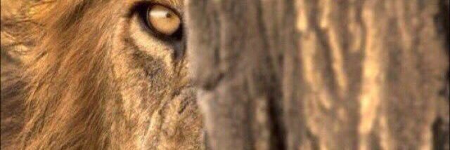 fawa2005's profile banner image