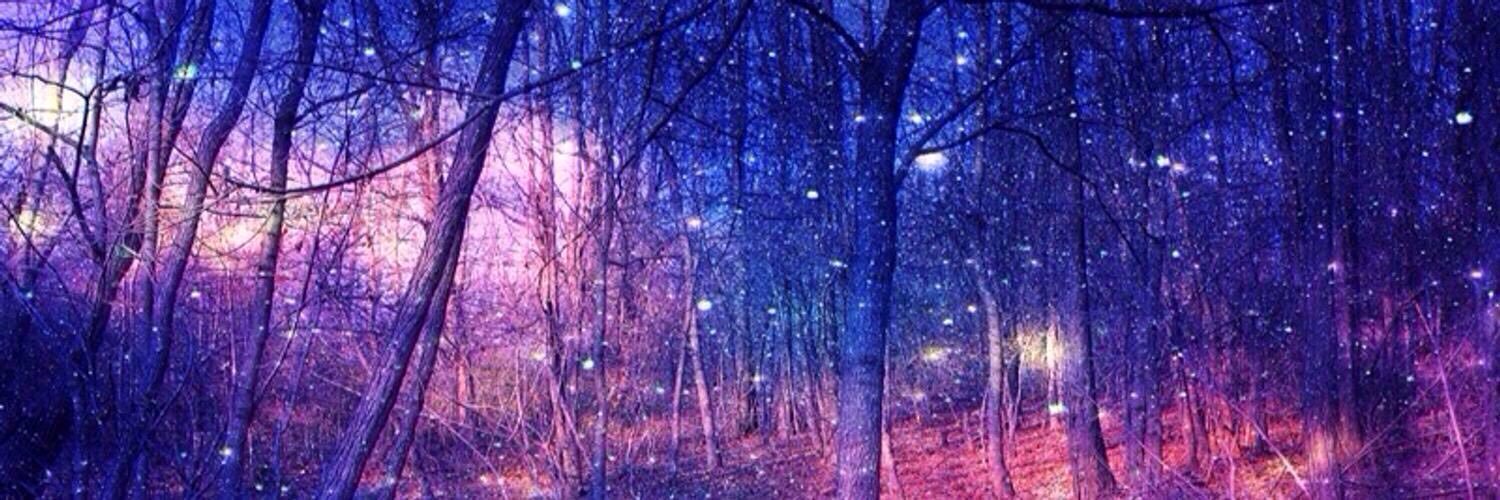 Lily. banner