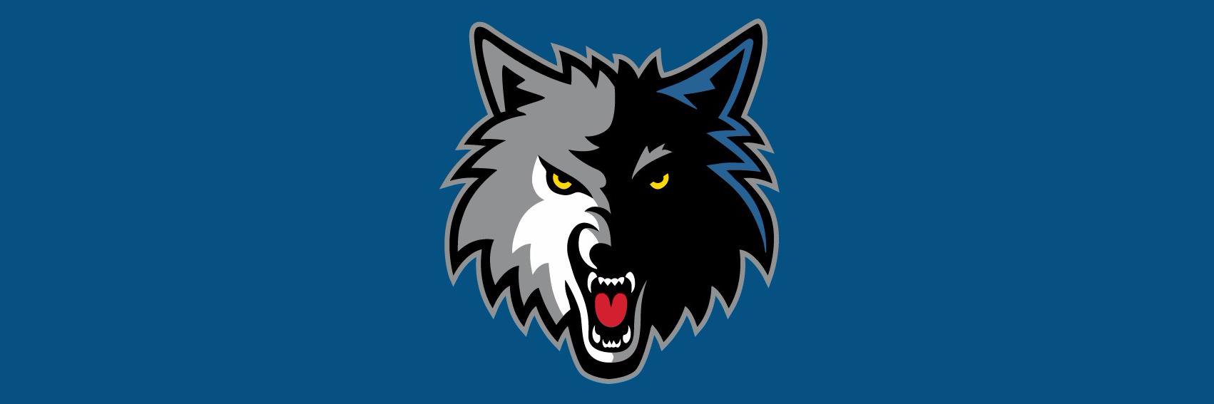 Timberwolves Spain banner