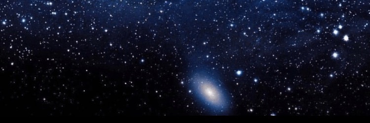 MegaKing🇺🇸🇮🇱 banner