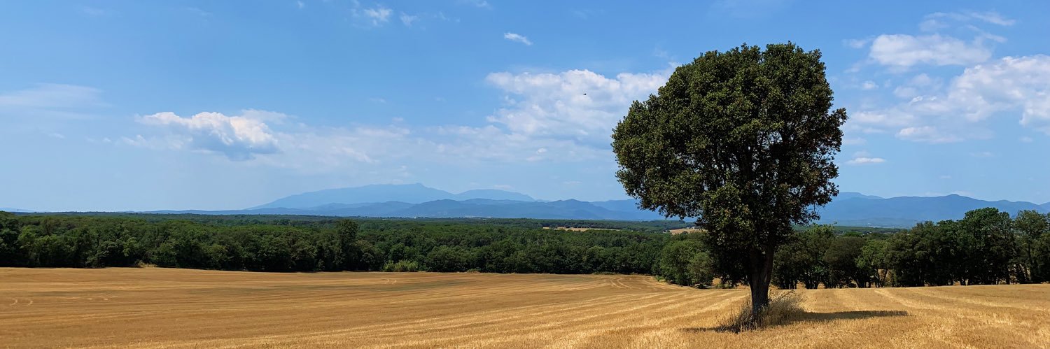 Albert Cadanet Vilà banner