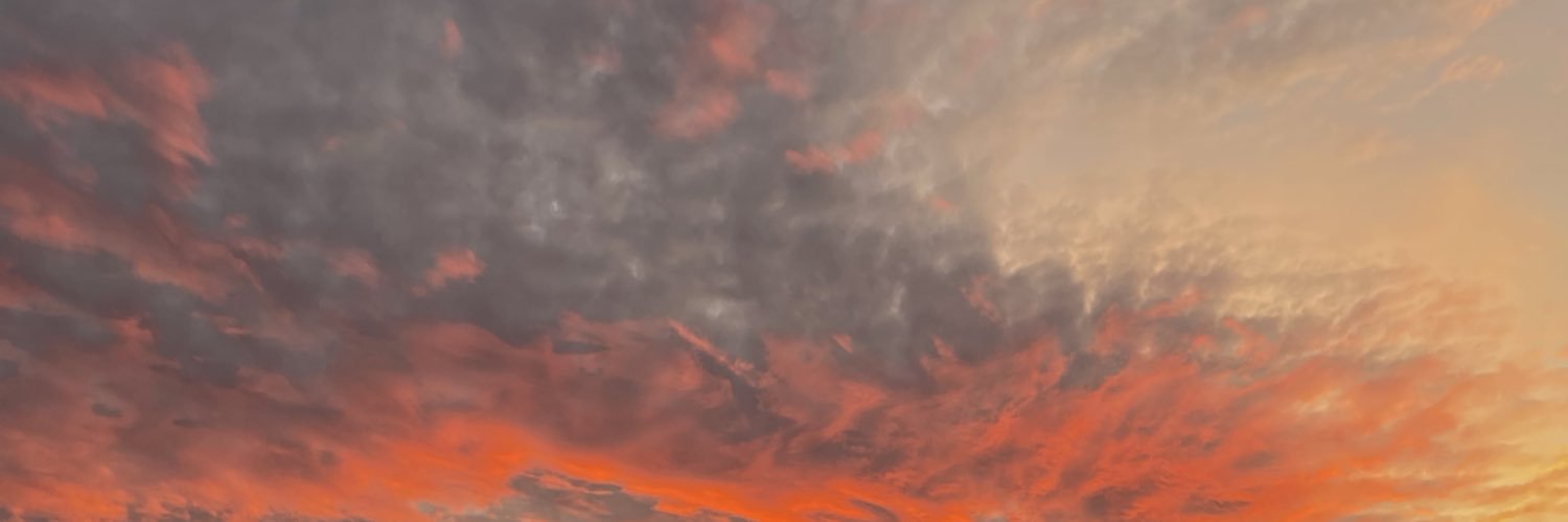 margotray_'s profile banner image