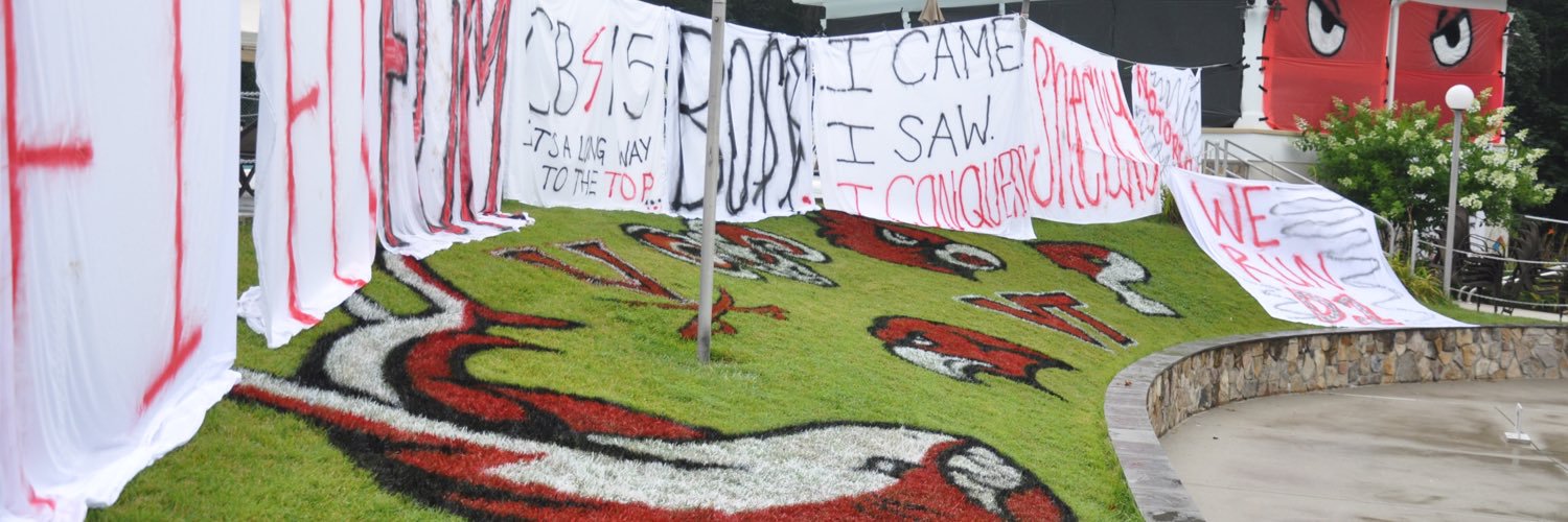 Chesterbrook Swimming banner