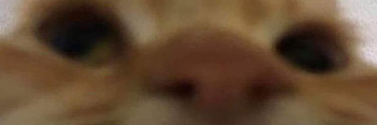 amyxgreenhill's profile banner image
