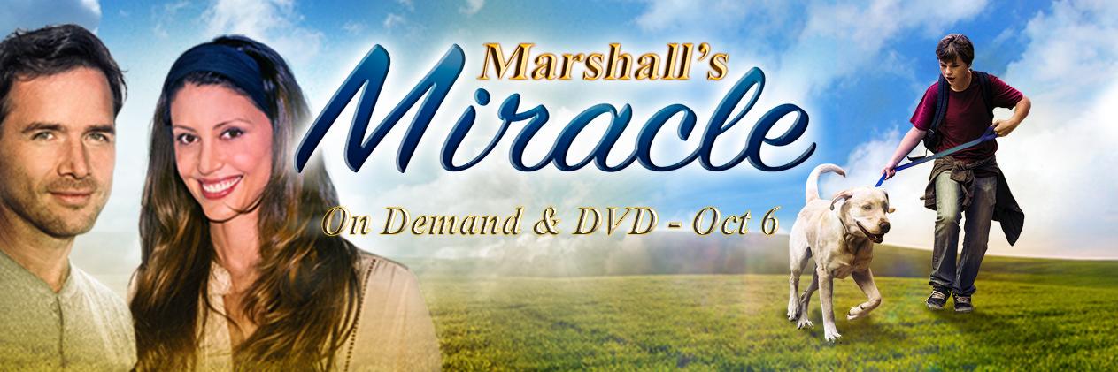 marshall_dog's profile banner image