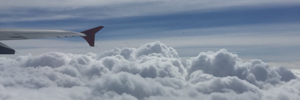 murchacho's profile banner image