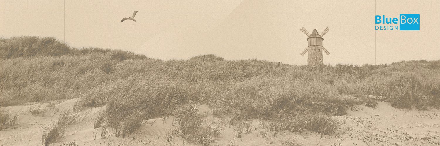 BlueBox Design banner