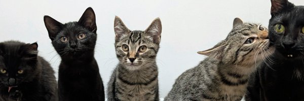 RobynAnderson Profile Banner