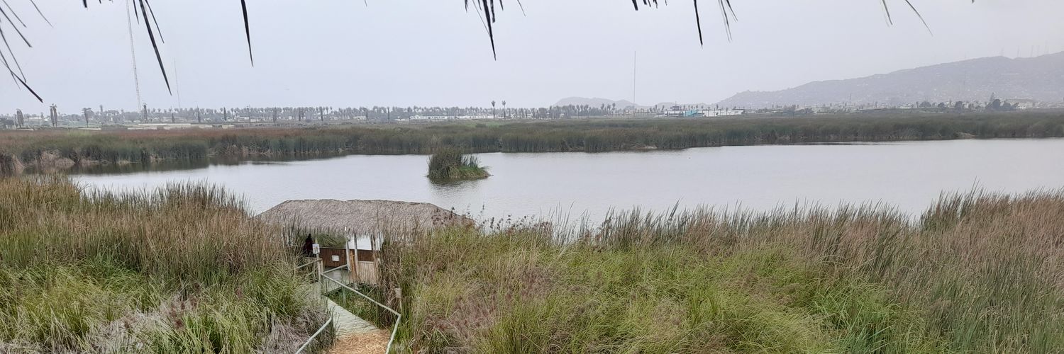 Lalita/ToSirWithLoveEra🐅💫 banner