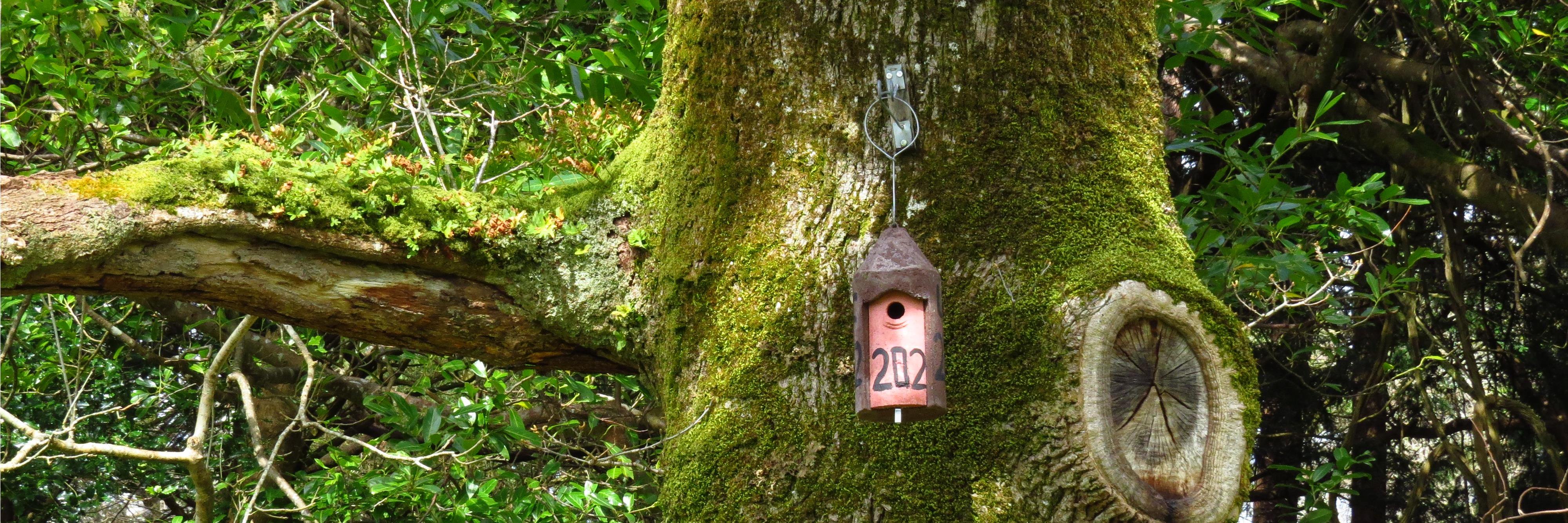 Evo Eco Cognition banner