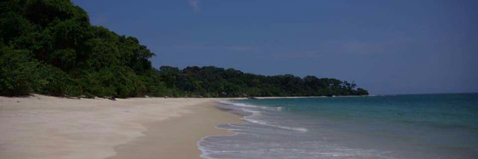 Pris banner