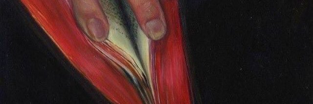 IHugendobler's profile banner image