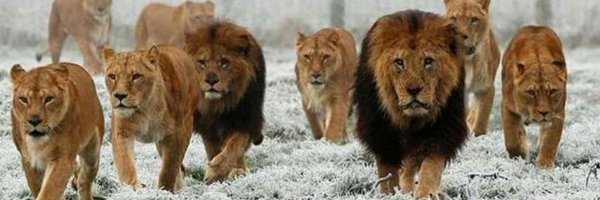 davidturgeon45 Profile Banner