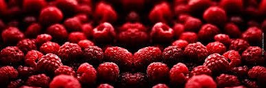 elle banner