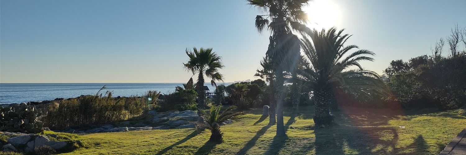 Fernando Cardozo banner