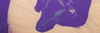 AIchaOfff's profile banner image