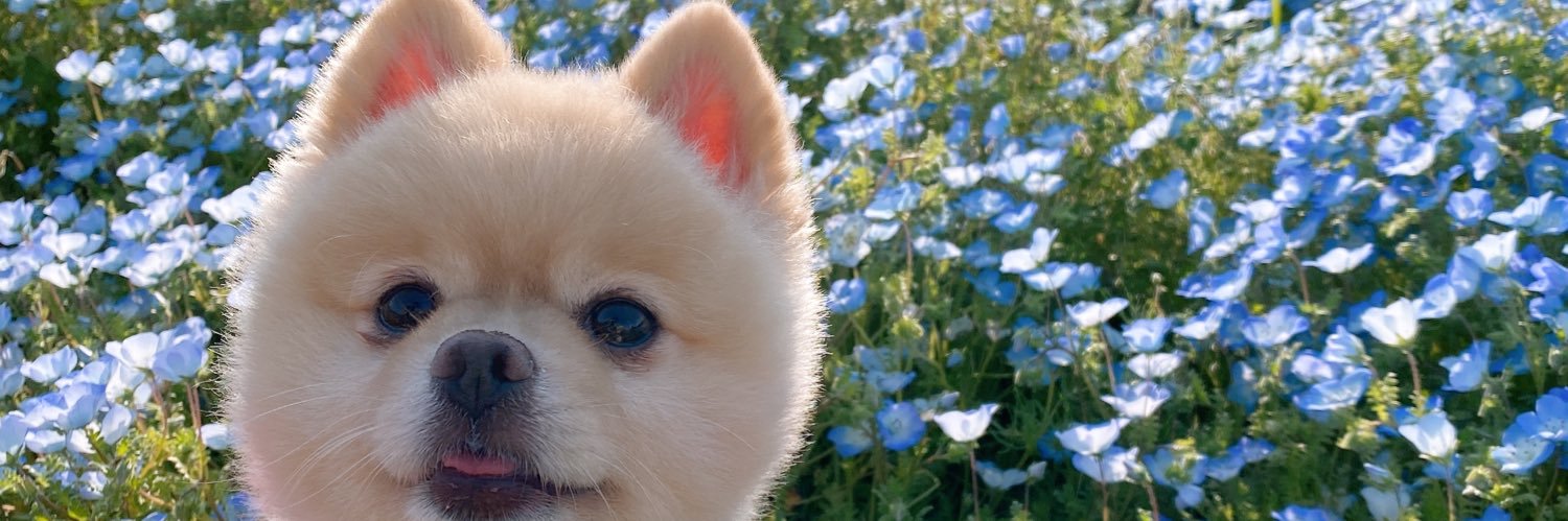 teddy_aooi's profile banner image