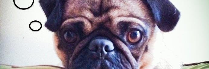 TrudivanWyk's profile banner image