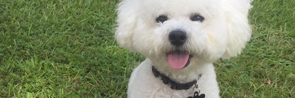 hix_mary's profile banner image