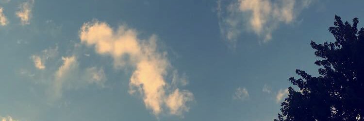 Kayla_Walowitz's profile banner image