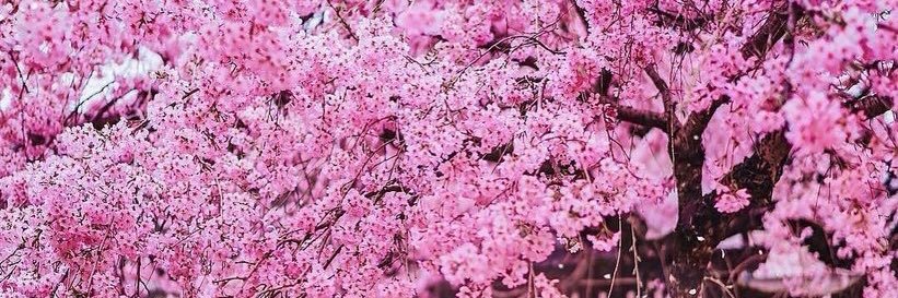 _xnn96's profile banner image