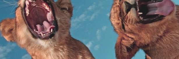 Yo_Pane's profile banner image