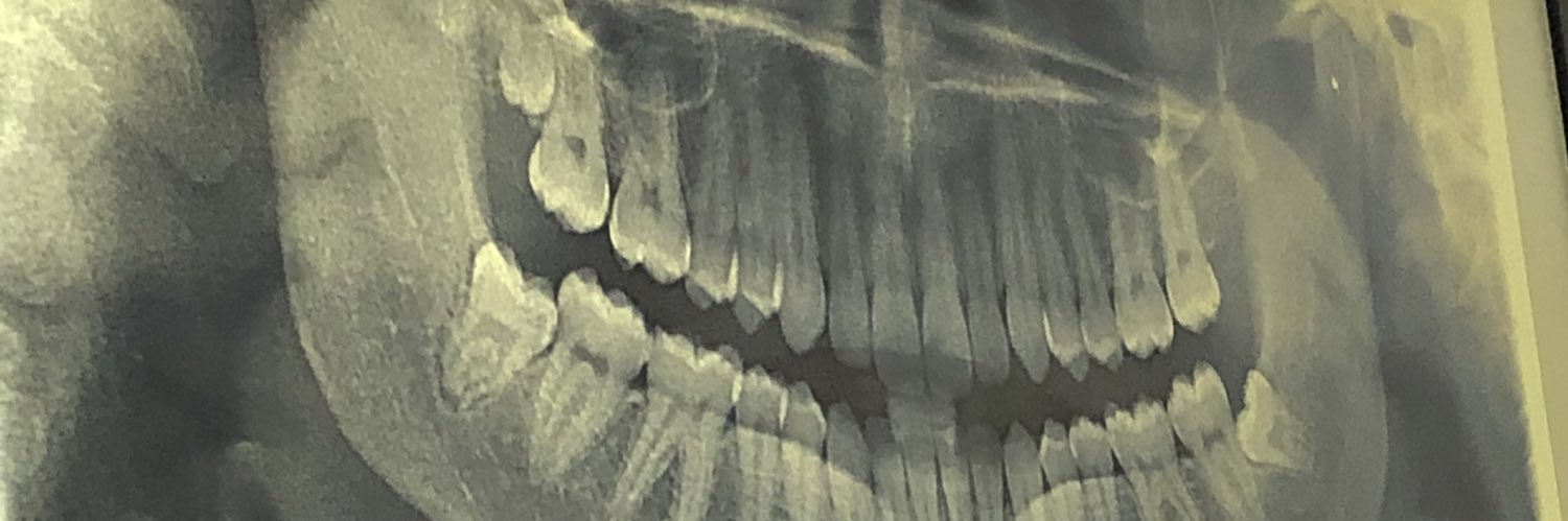lydiaxb's profile banner image