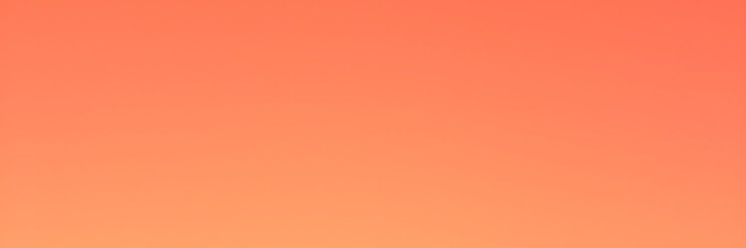 lisavanmol's profile banner image