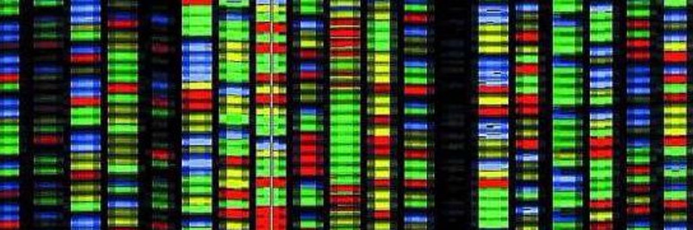 Gene_Decode11's profile banner image