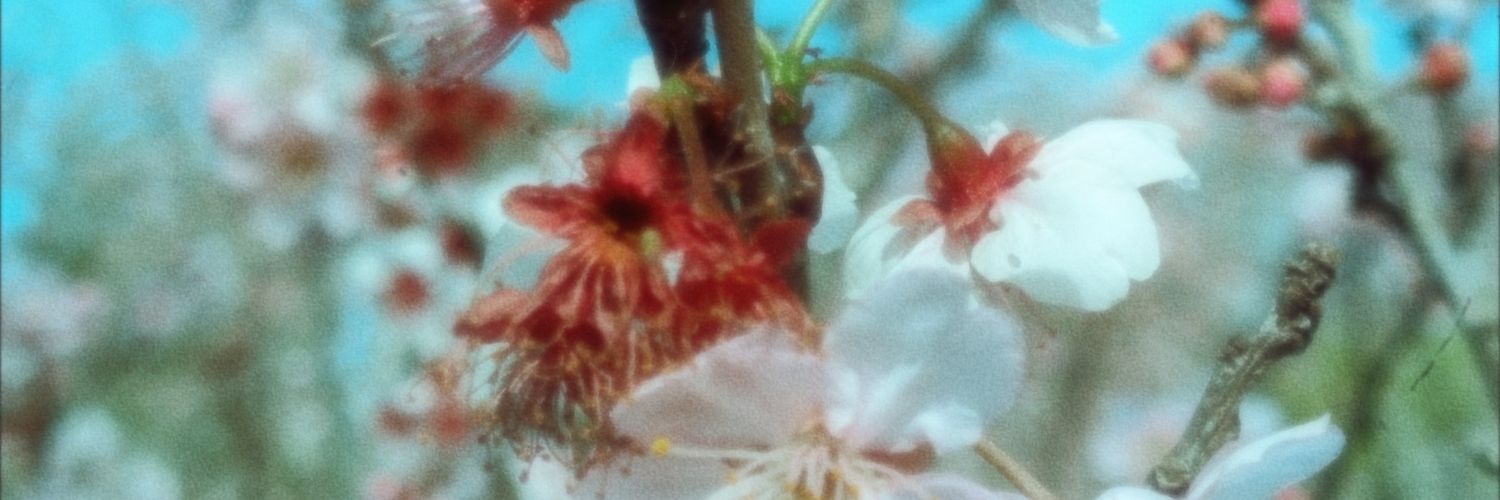 martinsbry's profile banner image