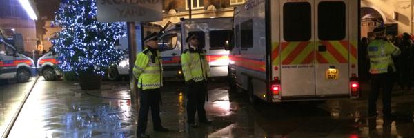 ninatailor2 Profile Banner