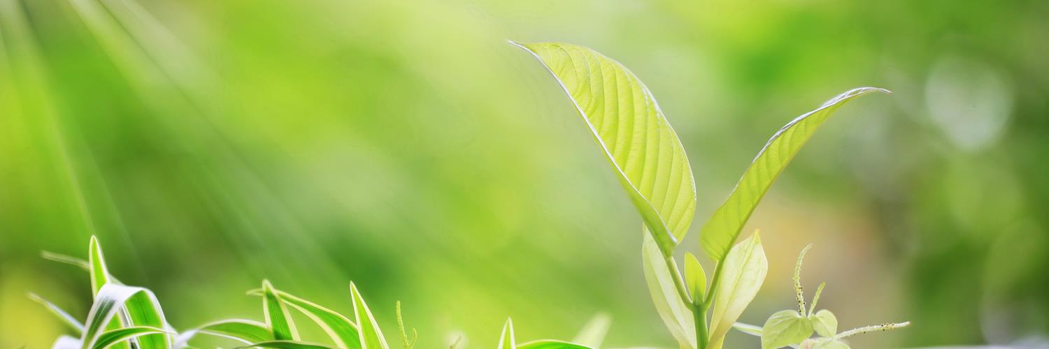 Optima Training banner