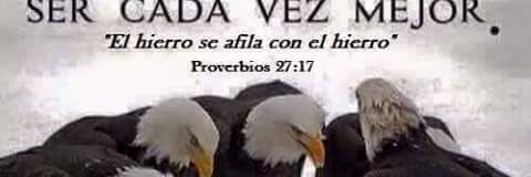 gino_cedeno's profile banner image