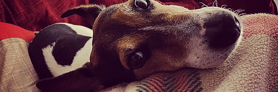 CooperHannah5's profile banner image