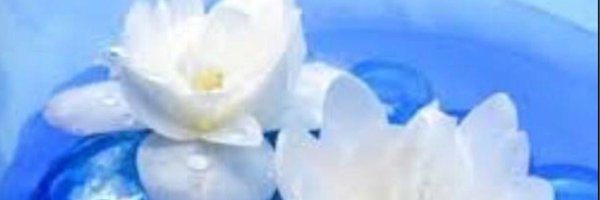 GabyMuzquiz1 Profile Banner