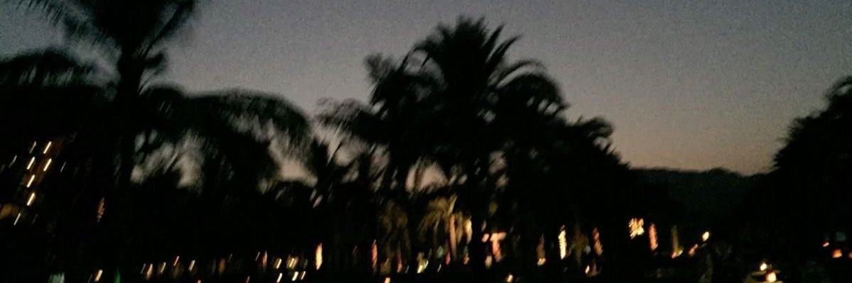 lizzyysad's profile banner image