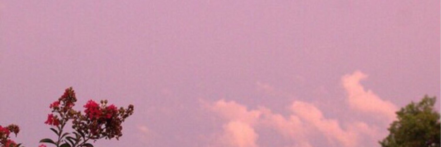️ banner
