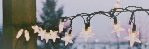 🌻 Tappy Paws 🌻 banner