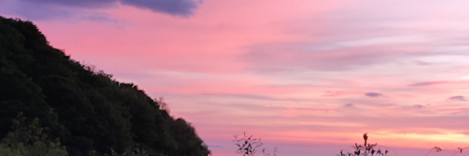 lilac115's profile banner image
