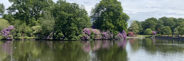 HLMather1 Profile Banner